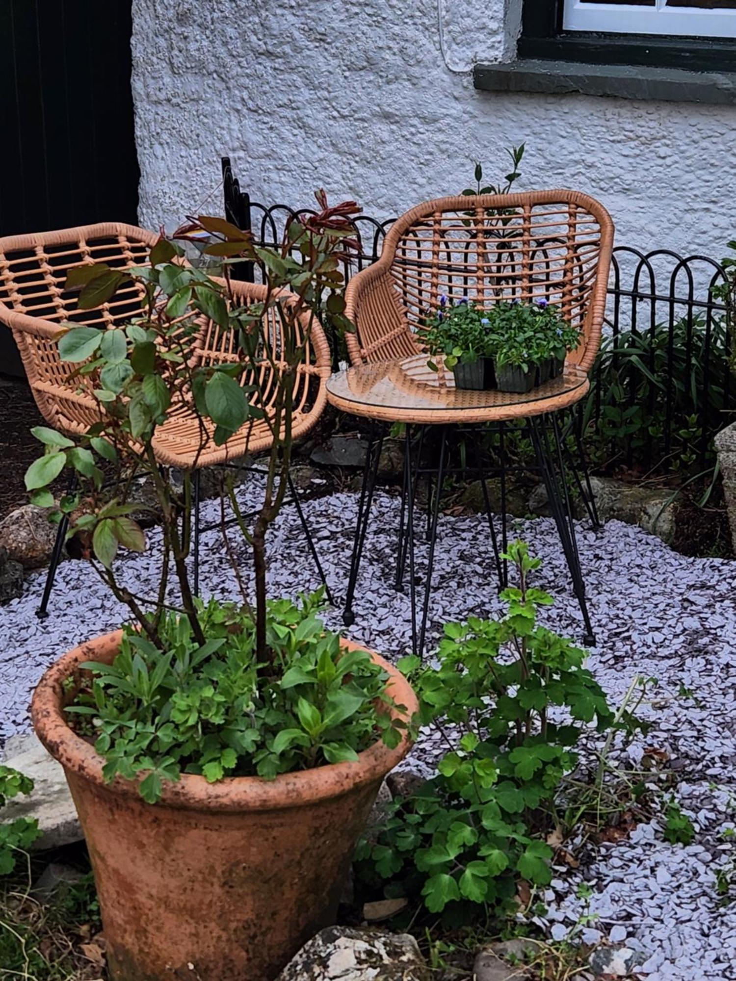 Blea Tarn Farmhouse B&B 安布尔塞德 外观 照片