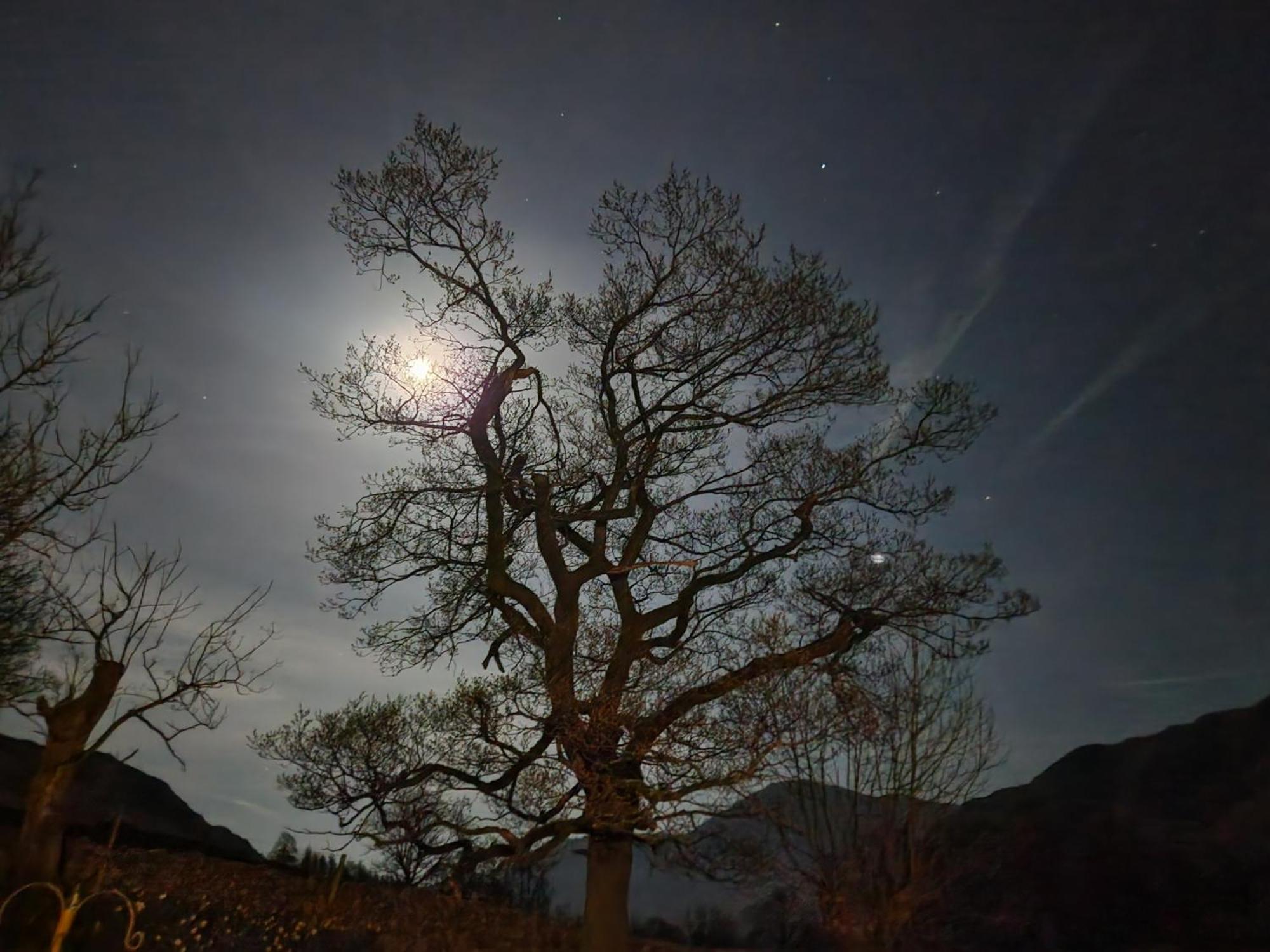 Blea Tarn Farmhouse B&B 安布尔塞德 外观 照片